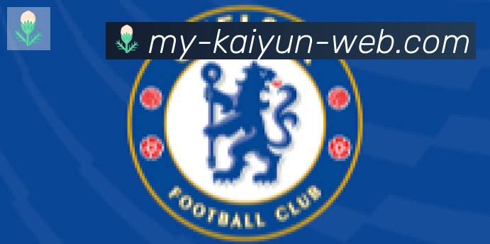 开云体育合作伙伴